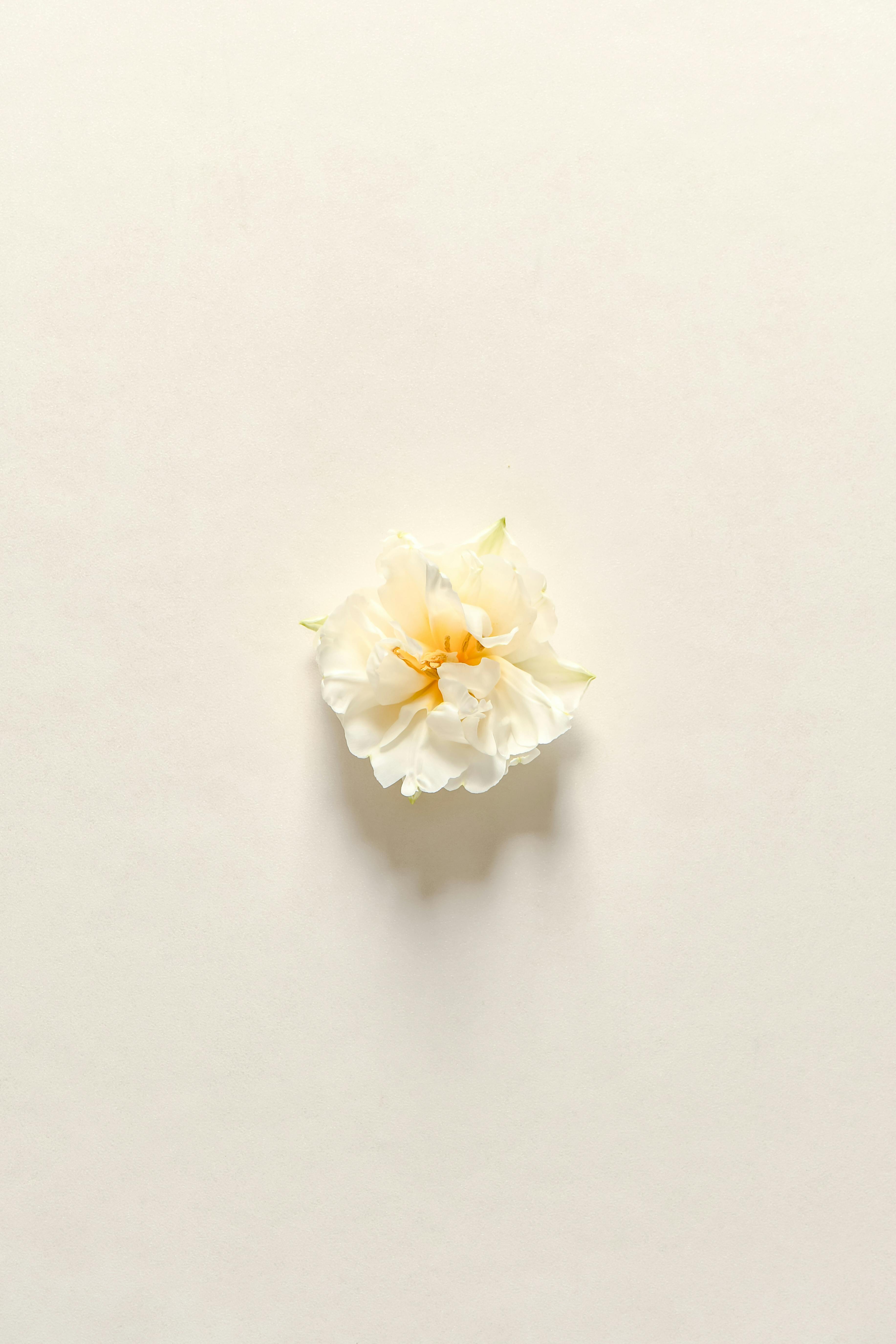 Cristiana testimonial